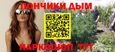 ПСИЛОЦИБИНОВЫЕ ГРИБЫ Краснодар