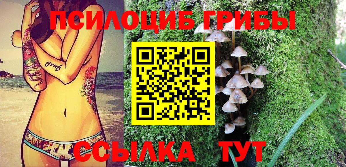 Псилоцибиновые грибы Magic Shrooms Каменск-Уральский