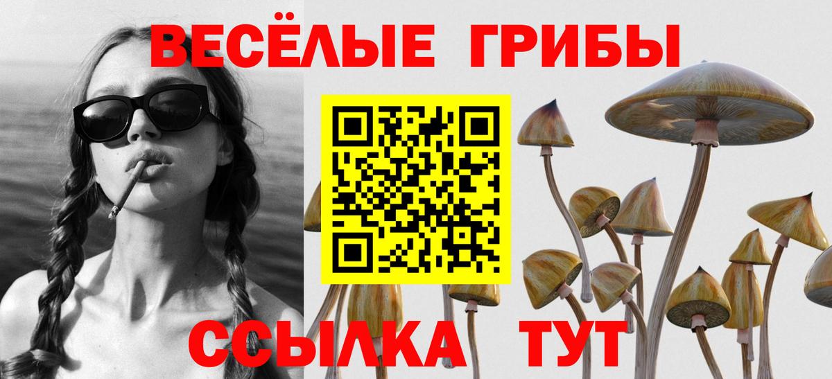 Псилоцибиновые грибы ЛСД  Галлюциногенные грибы GOLDEN TEACHER  Каменск-Уральский  сколько стоит  Вход с VPN 