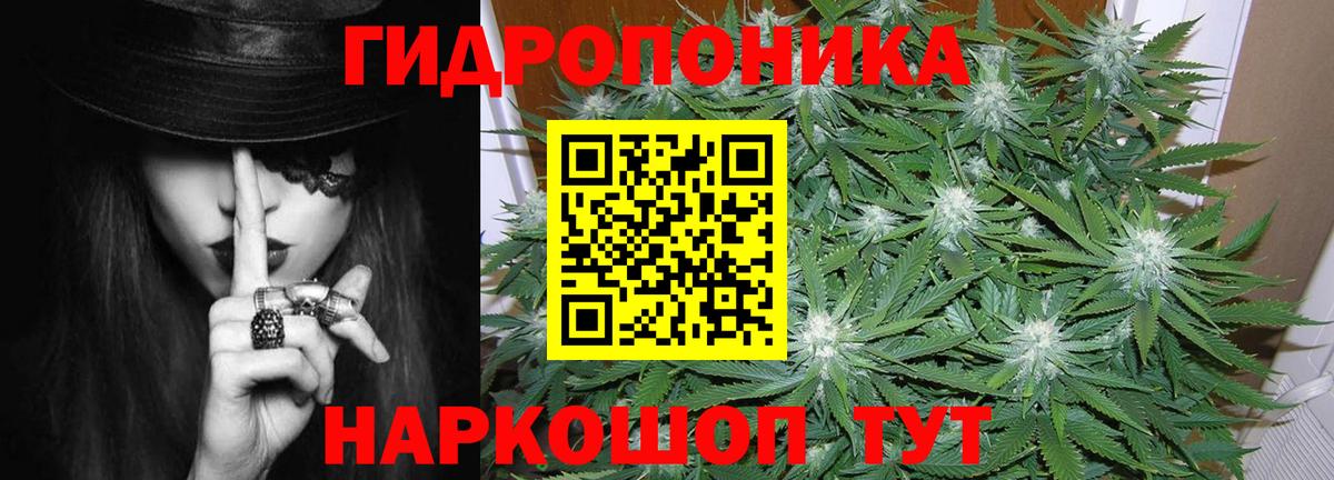 Шишки марихуана план  Вход с VPN  Каменск-Уральский  Канабис MAZAR  Марихуана LSD WEED 